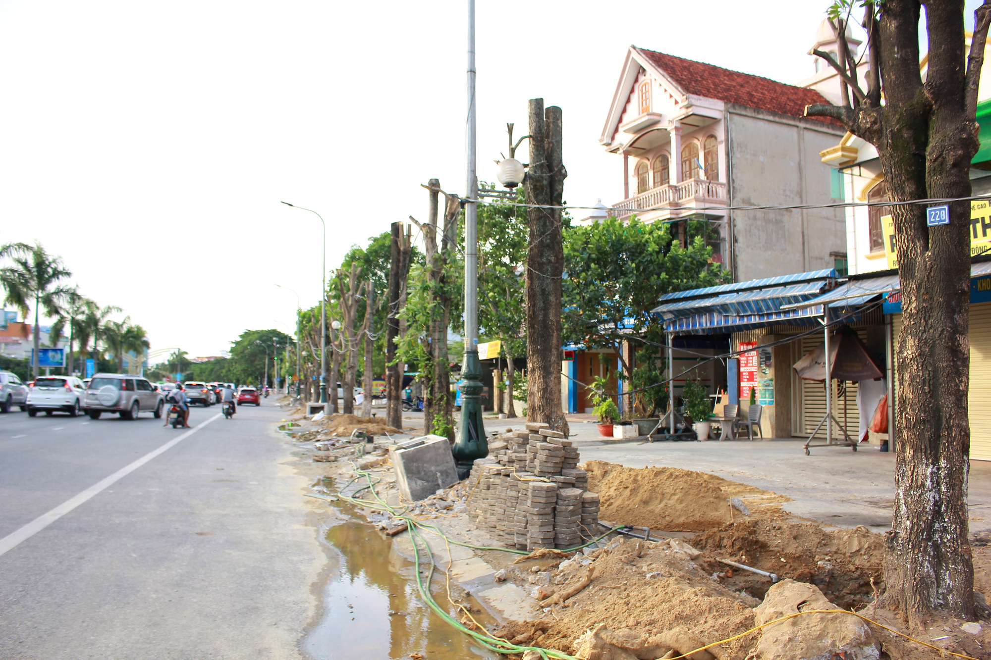 Nghệ An: Hàng loạt cây xanh ở Đại lộ Lê Nin (TP.Vinh) bị cắt “trơ trụi” thời điểm nắng nóng gay gắt - Ảnh 7.