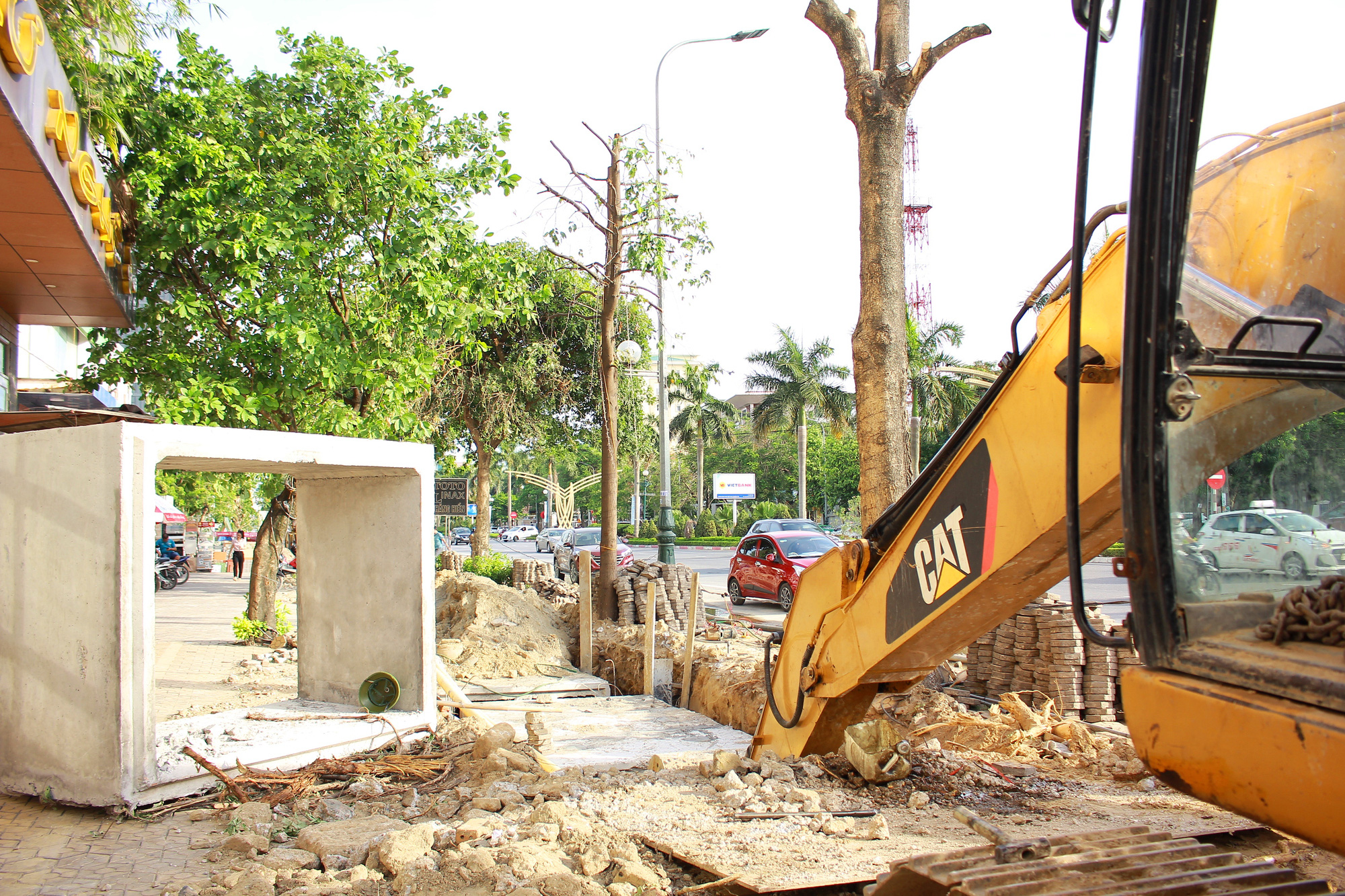 Nghệ An: Hàng loạt cây xanh ở Đại lộ Lê Nin (TP.Vinh) bị cắt “trơ trụi” thời điểm nắng nóng gay gắt - Ảnh 8.