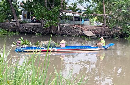 Hậu Giang: Chưa đến mùa nổi miền Tây nhưng dân đã bắt cá khá nhiều trên sông - Ảnh 1.