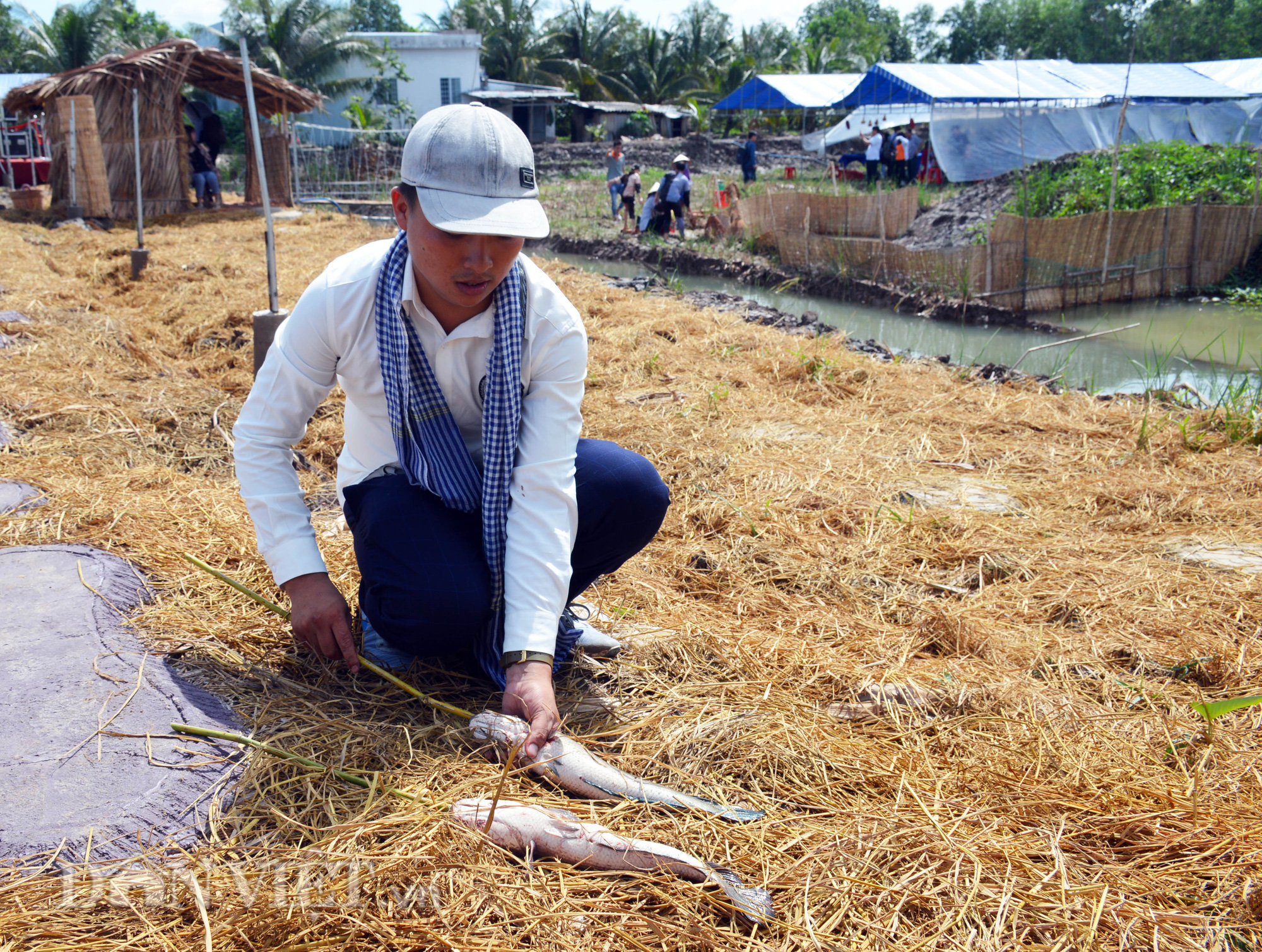 Chàng trai đem cả Đà Lạt về Cà Mau - Ảnh 11.