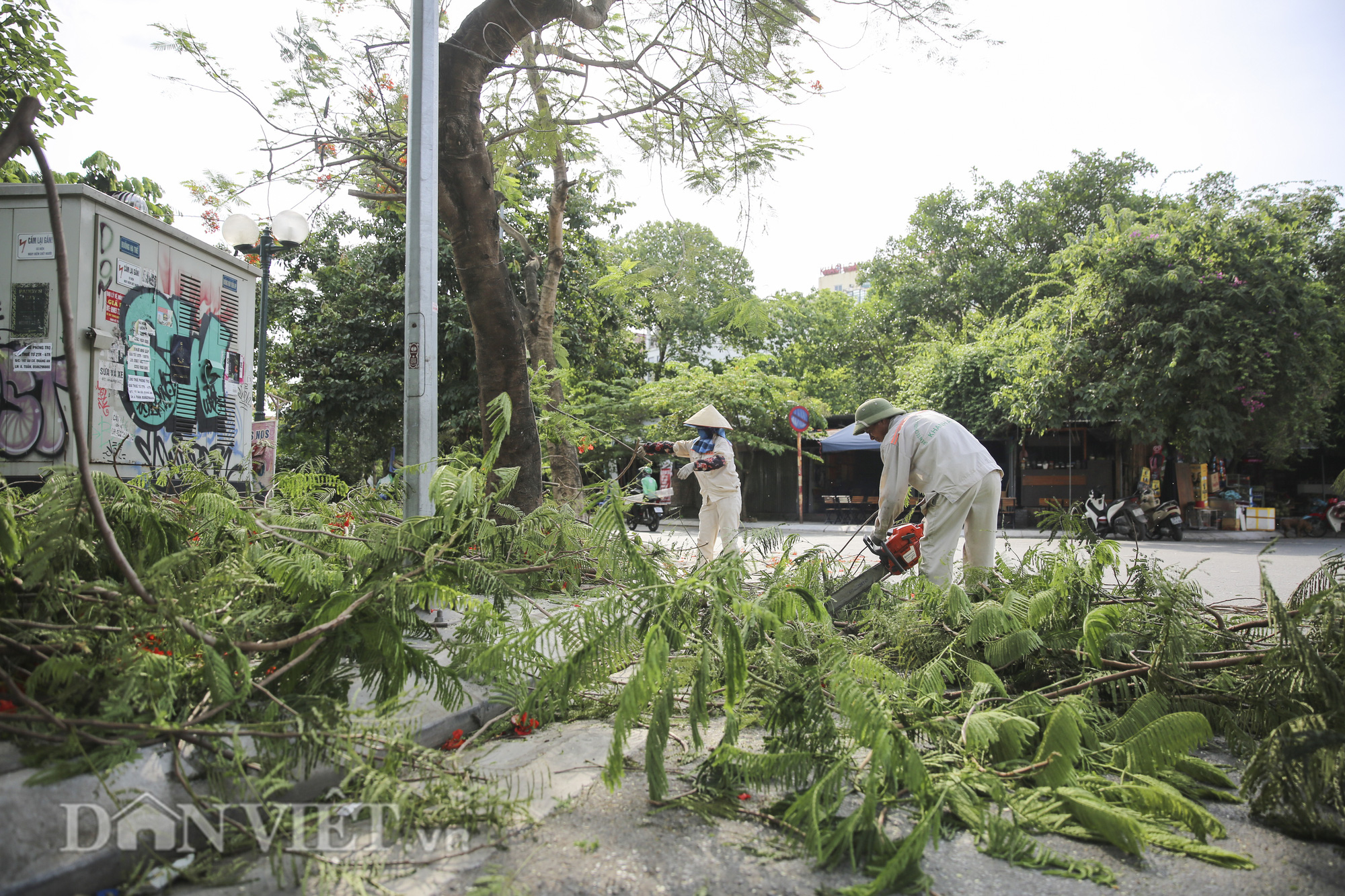 Hà Nội cắt tỉa hơn 38.000 cây xanh ứng phó mùa mưa bão - Ảnh 10.