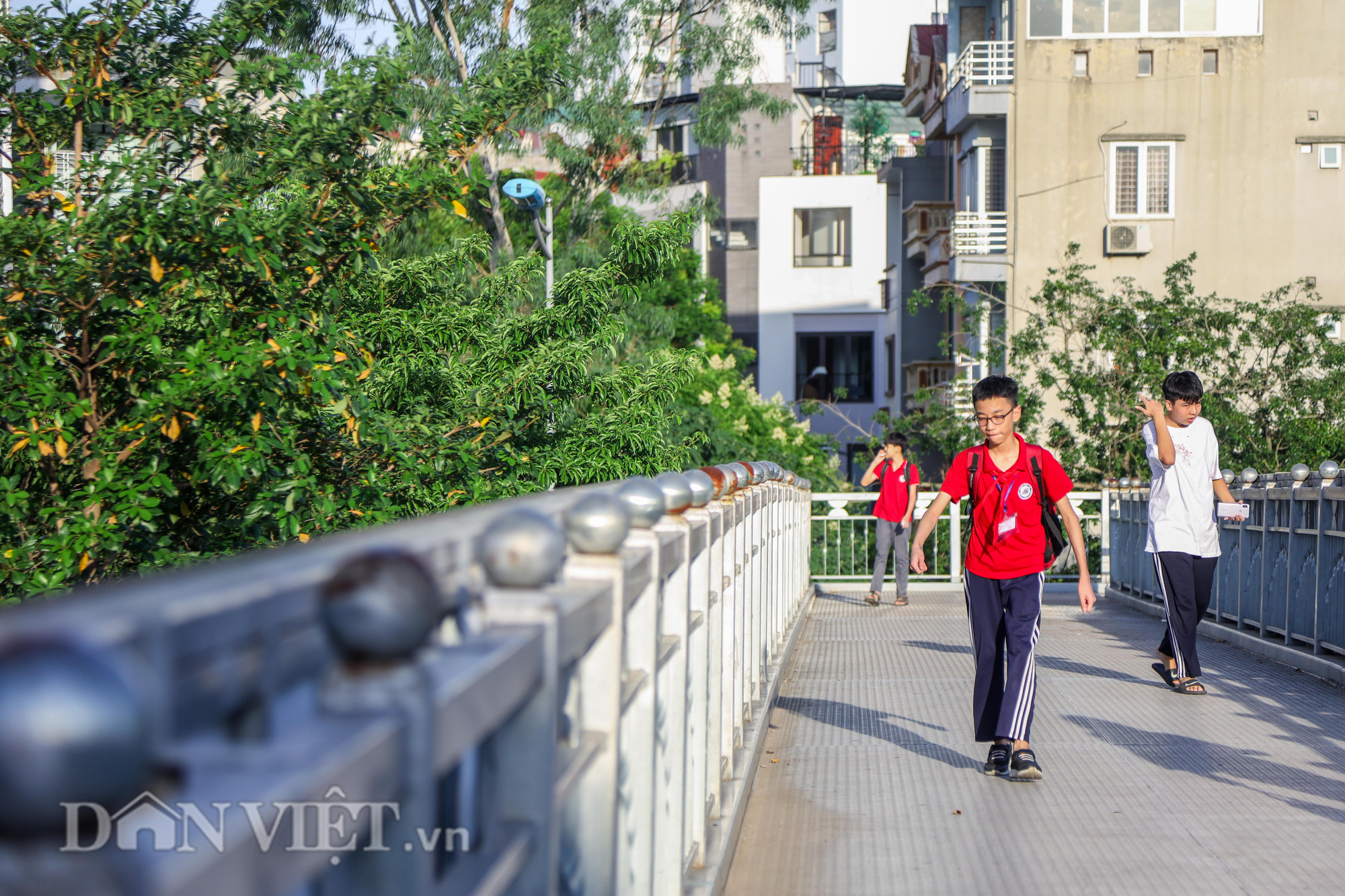 Đầu tư hàng trăm tỷ, cây xanh Hà Nội giờ ra sao? - Ảnh 2.