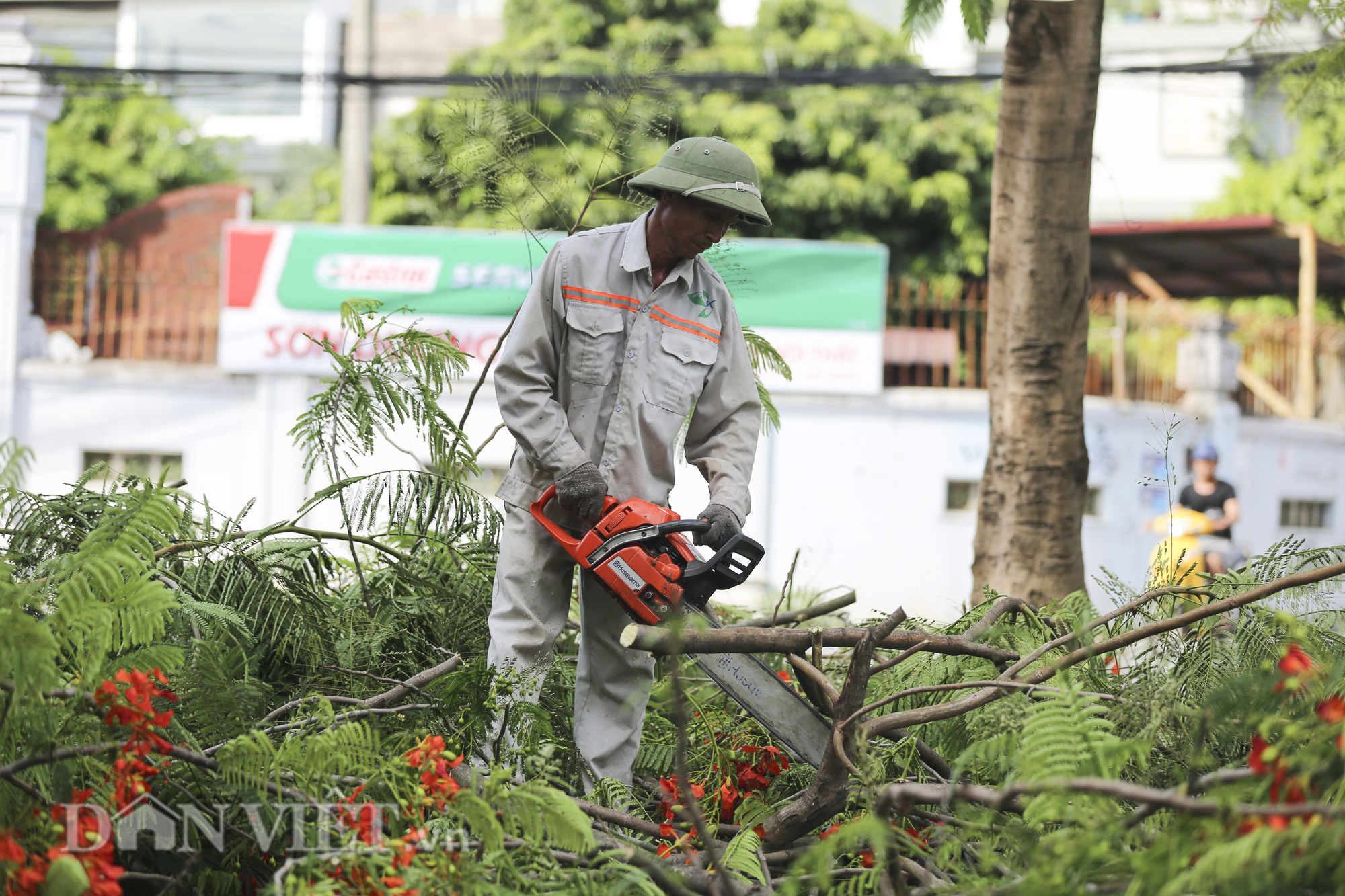 Hà Nội cắt tỉa hơn 38.000 cây xanh ứng phó mùa mưa bão - Ảnh 4.