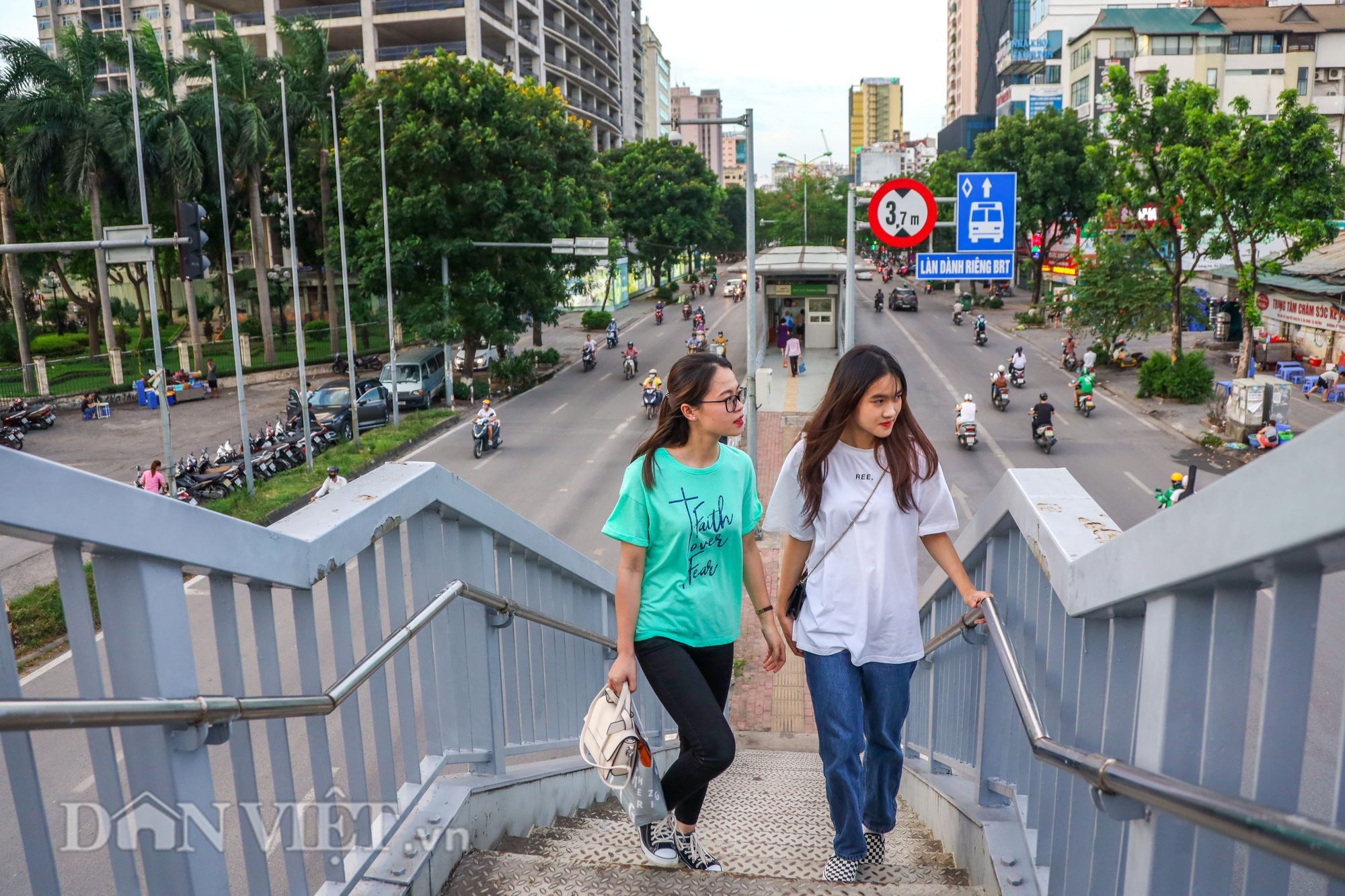 Đầu tư hàng trăm tỷ, cây xanh Hà Nội giờ ra sao? - Ảnh 12.