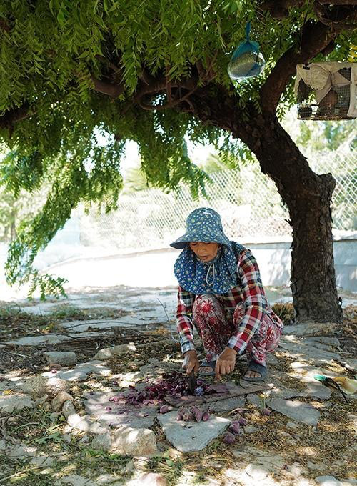 Ninh Thuận: Nuôi dông cát bán hoang dã trên vùng sa mạc, tiền lời cao gấp 3 lần nuôi bò - Ảnh 3.