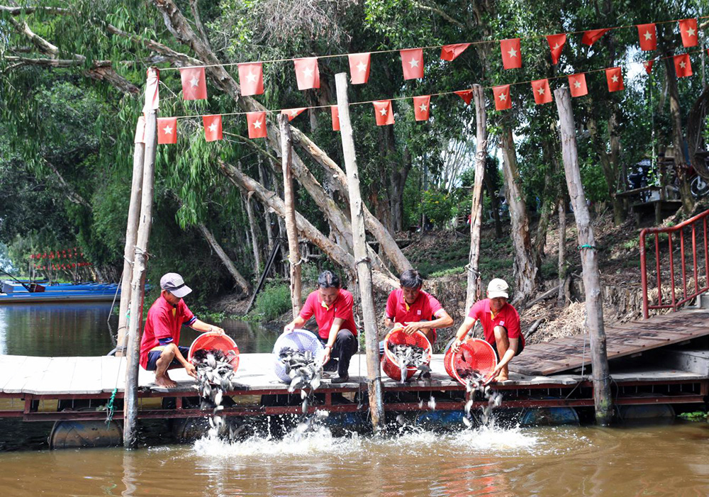 An Giang: Xuất chiêu thả cá đồng, nhiều loại chim quý bị &quot;dụ&quot; về rừng tràm Trà Sư làm tổ - Ảnh 1.