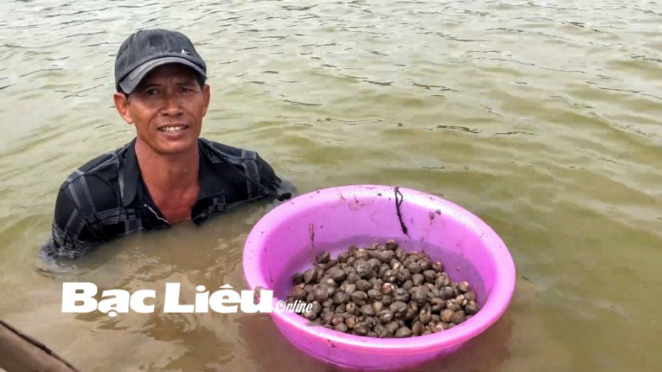 Nông dân Bạc Liêu phát tài với cách làm hay: Con tôm &quot;ôm&quot; sò huyết, cứ 1ha lời 100 triệu - Ảnh 1.