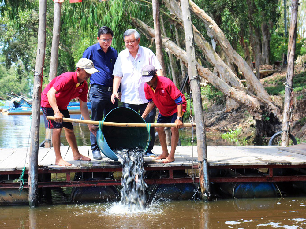 An Giang: Xuất chiêu thả cá đồng, nhiều loại chim quý bị &quot;dụ&quot; về rừng tràm Trà Sư làm tổ - Ảnh 3.