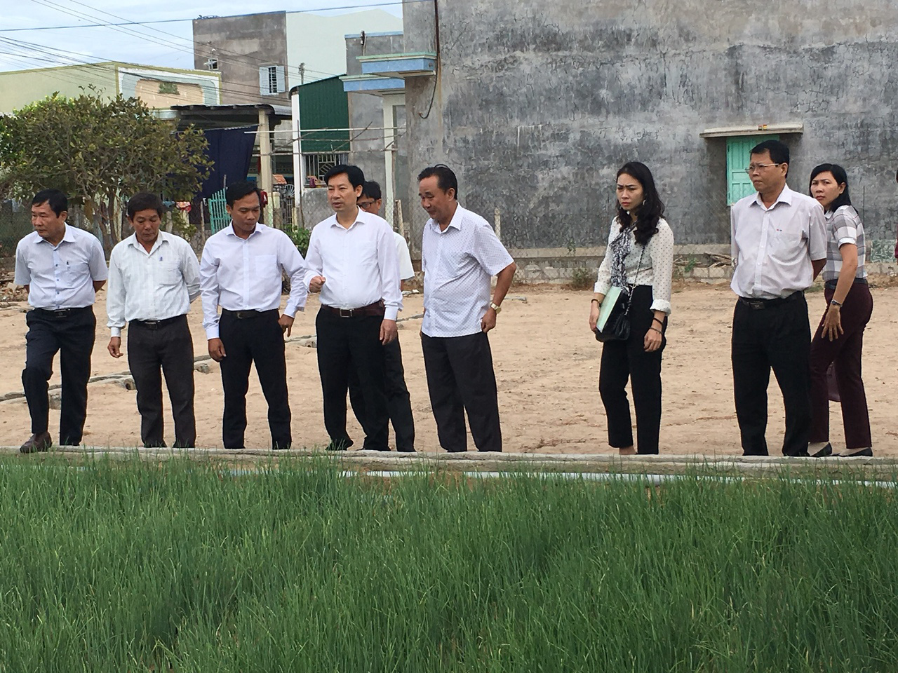 Ninh Thuận: Phó Chủ tịch Hội NDVN thăm mô hình trồng hành áp dụng công nghệ tưới nước nhỏ giọt - Ảnh 1.