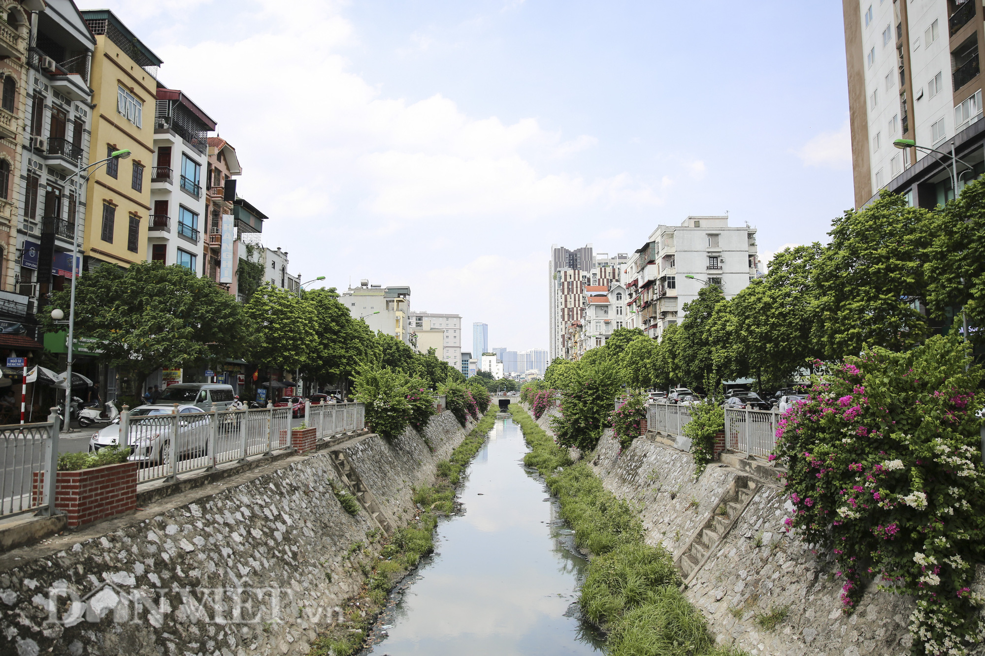 Hệ thống cây xanh đã giúp Hà Nội giảm “hiệu ứng đảo nhiệt đô thị” như thế nào? - Ảnh 1.