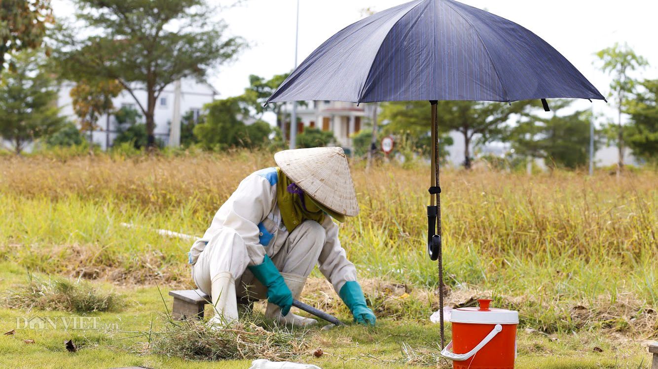 Nắng nóng khốc liệt, đất nứt toác, hoa màu héo khổ, nông dân Nghệ An gồng mình chống nóng - Ảnh 5.