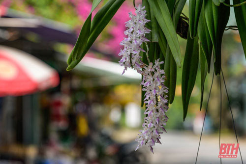 Bí ẩn về dòng suối ngầm chảy mãi không bao giờ cạn và đàn “cá thần” linh thiêng - Ảnh 9.