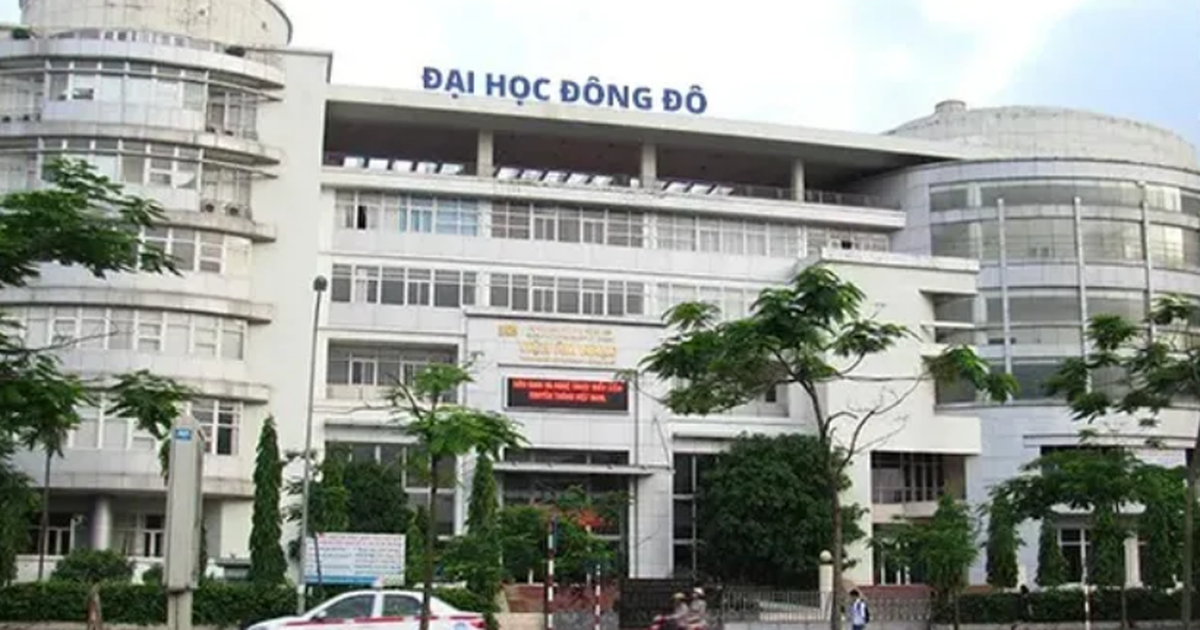 Bộ Công an khởi tố, bắt nữ trưởng phòng của Đại học Đông Đô - Ảnh 1.