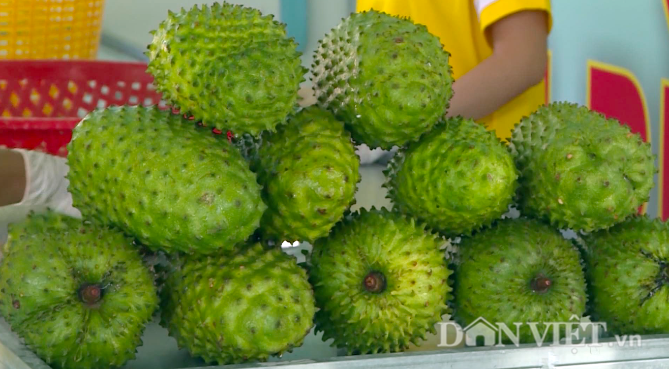 Hậu Giang: Dân trồng mãng cầu không bán trái chín mà cắt nhỏ, phơi khô mới bán - Ảnh 1.