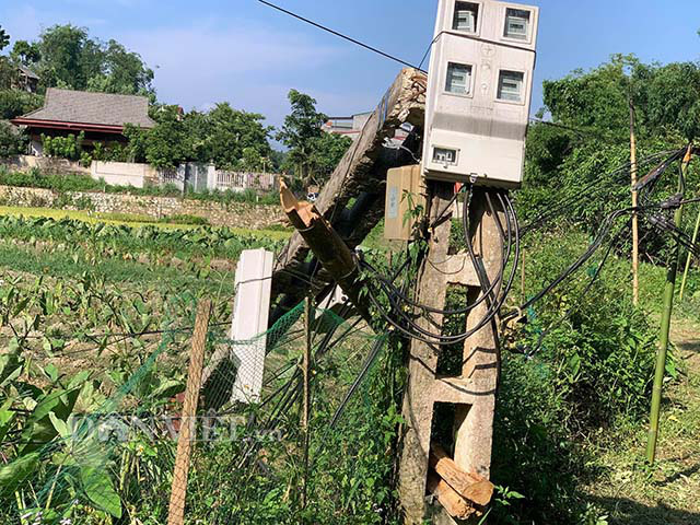 Sau phản ánh của Dân Việt: Cột điện gãy gập ở Bắc Kạn được khắc phục - Ảnh 2.