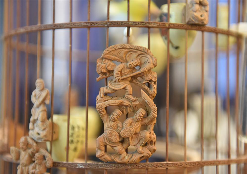 Bộ sưu tập chim giá tiền tỷ của vua chim màu Việt: Đắt đỏ, quý hiếm, đẳng cấp nhất Việt Nam - Ảnh 13.