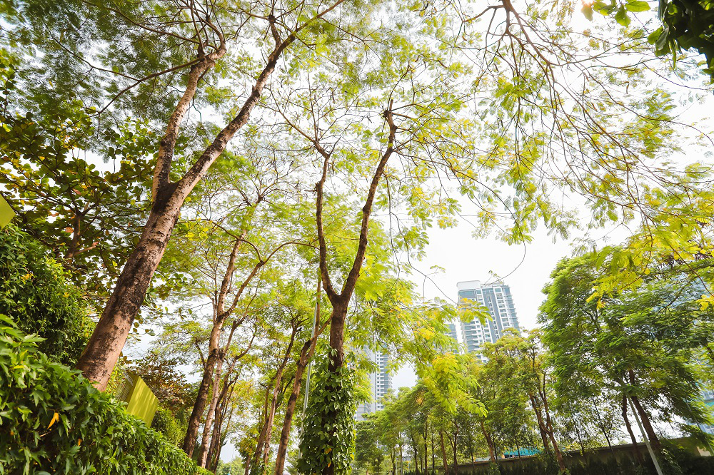 Bắt đầu &quot;hành trình&quot; sống mới với KĐT sinh thái Gamuda Gardens - Ảnh 3.