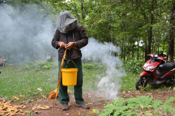 Săn ong rừng miền biên viễn - Ảnh 4.