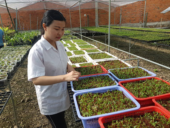 Cập nhật hơn 62 về mô hình trồng lan hay nhất  Tin học Đông Hòa