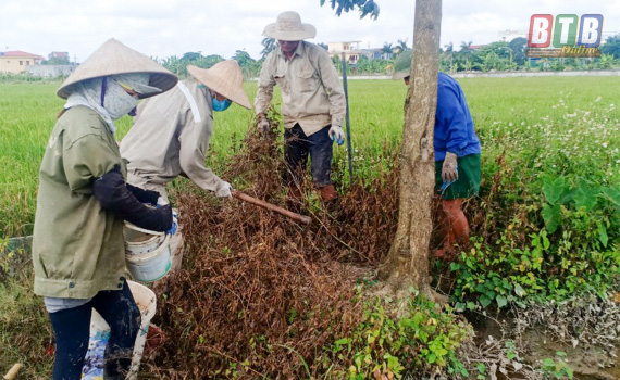 Vùng quê của các cao thủ diệt chuột, mỗi giờ bắt được hàng trăm con - Ảnh 2.