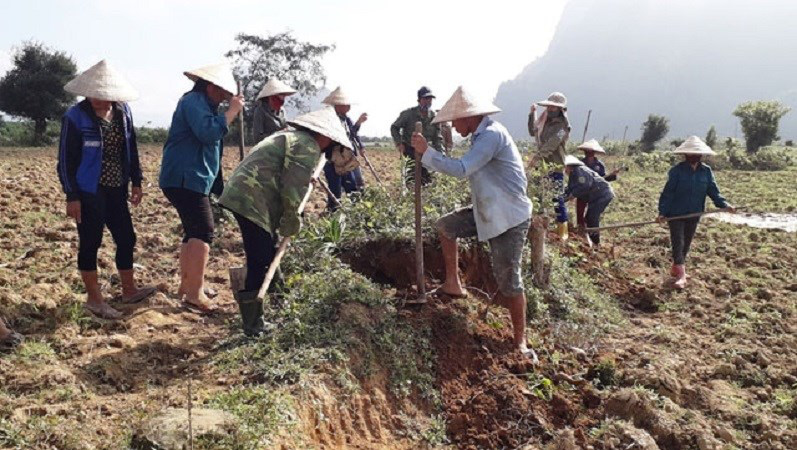 Vùng quê của các cao thủ diệt chuột, mỗi giờ bắt được hàng trăm con - Ảnh 1.