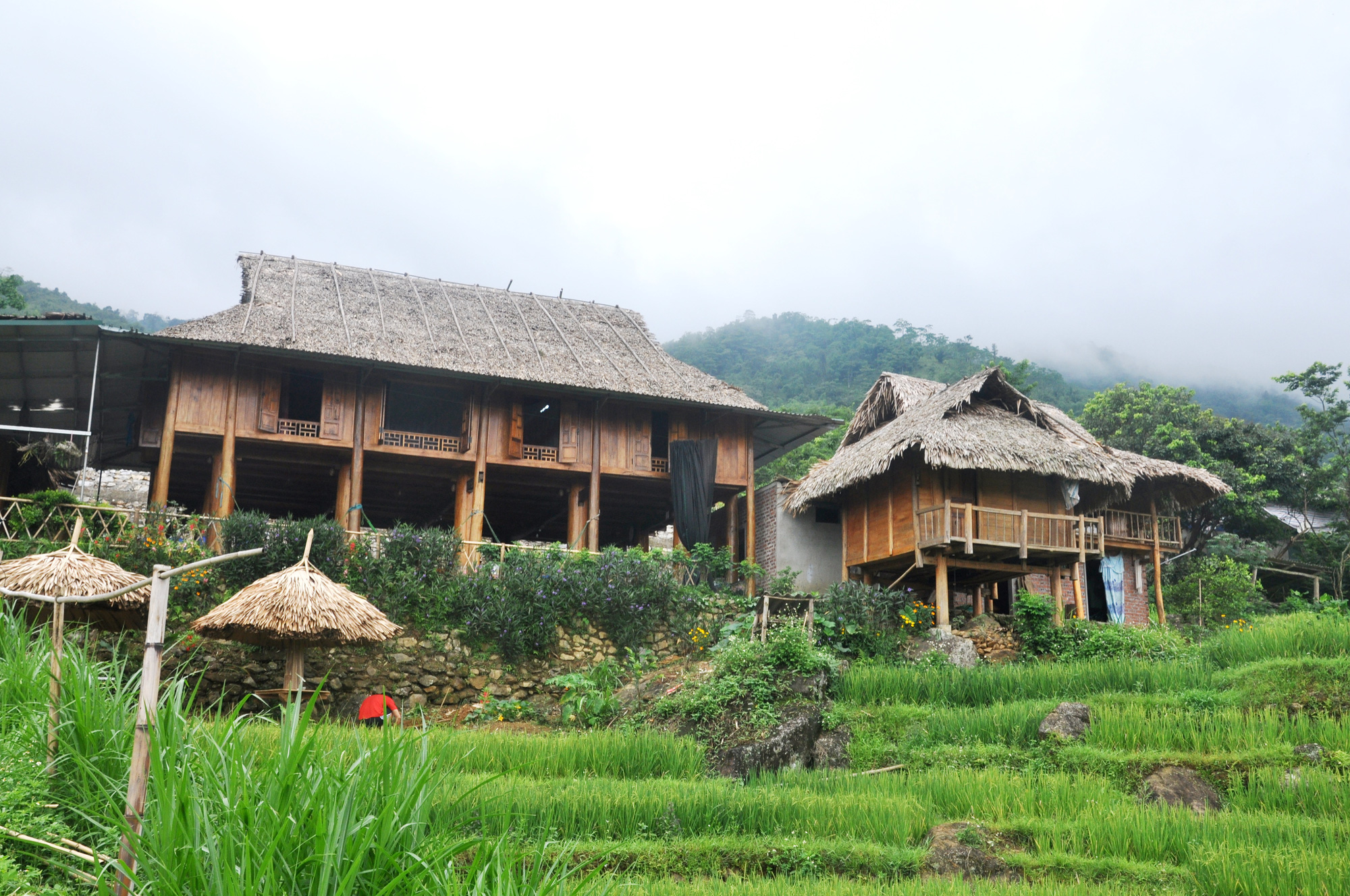 Kiếm nửa tỷ đồng mỗi năm nhờ Homestay trên ruộng bậc thang - Ảnh 2.