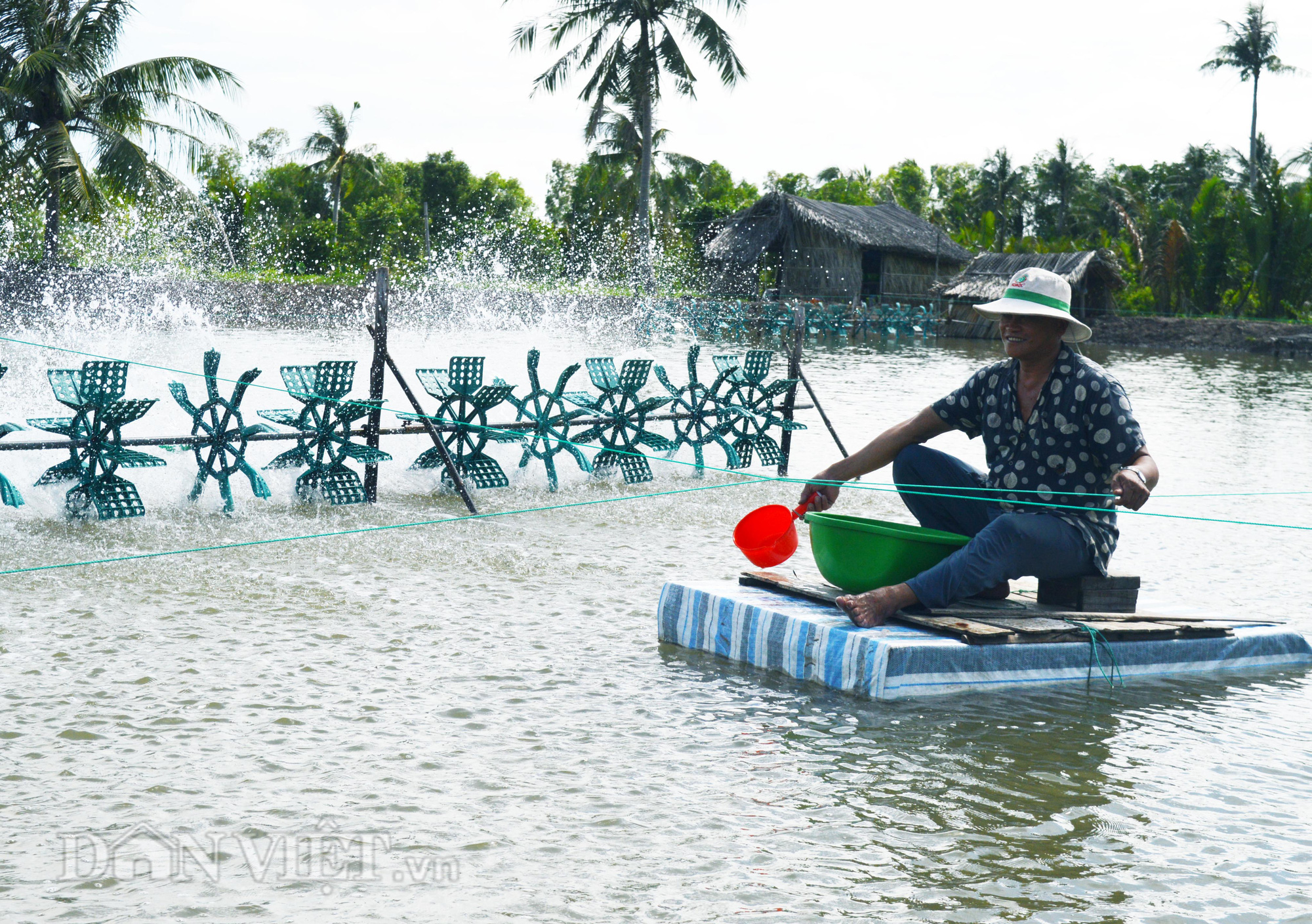 Cà Mau gỡ khó cho doanh nghiệp, vực dậy ngành tôm sau đại dịch Covid-19 - Ảnh 2.