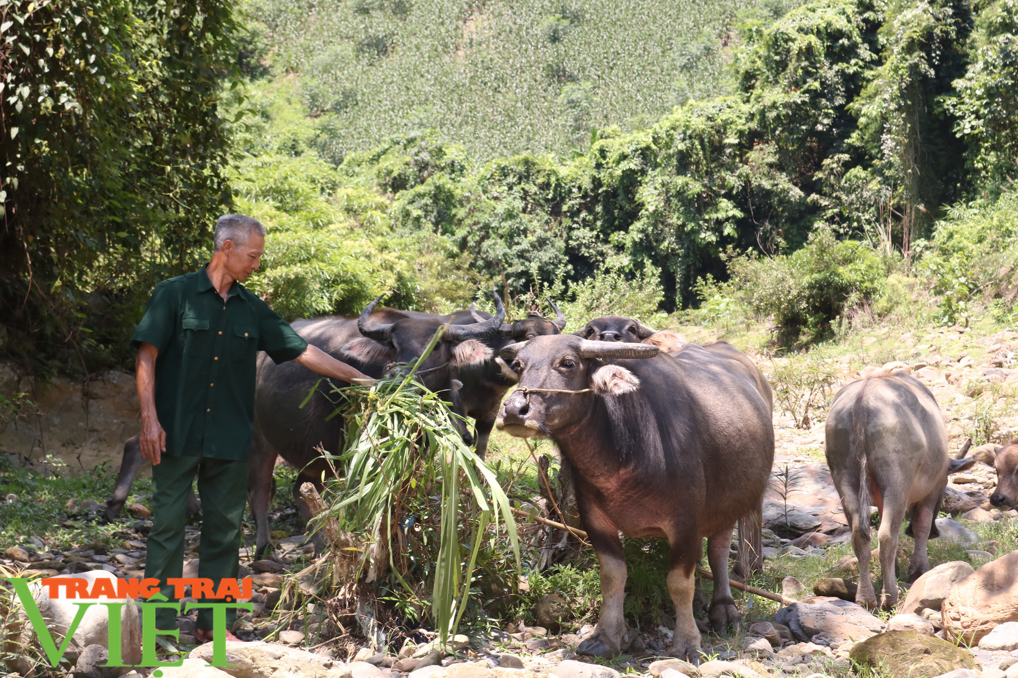 Tân Lang quyết tâm về đích nông thôn mới - Ảnh 2.