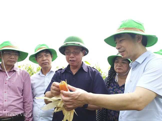 Phó Chủ tịch Hội ND Việt Nam thăm trung tâm sản xuất giống hiện đại bậc nhất ở Việt Nam - Ảnh 9.