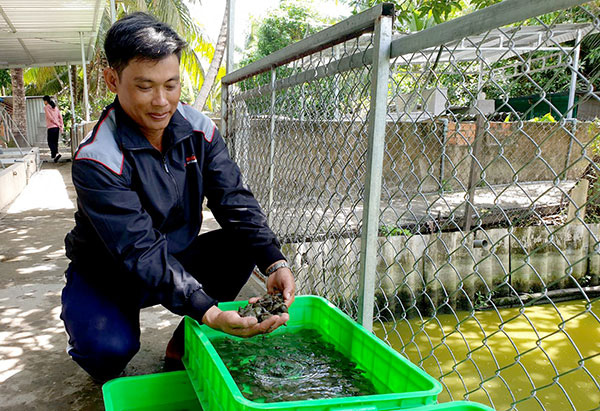 Nữ tỷ phú nổi tiếng Hậu Giang làm giàu như thế nào từ cua đinh? - Ảnh 9.