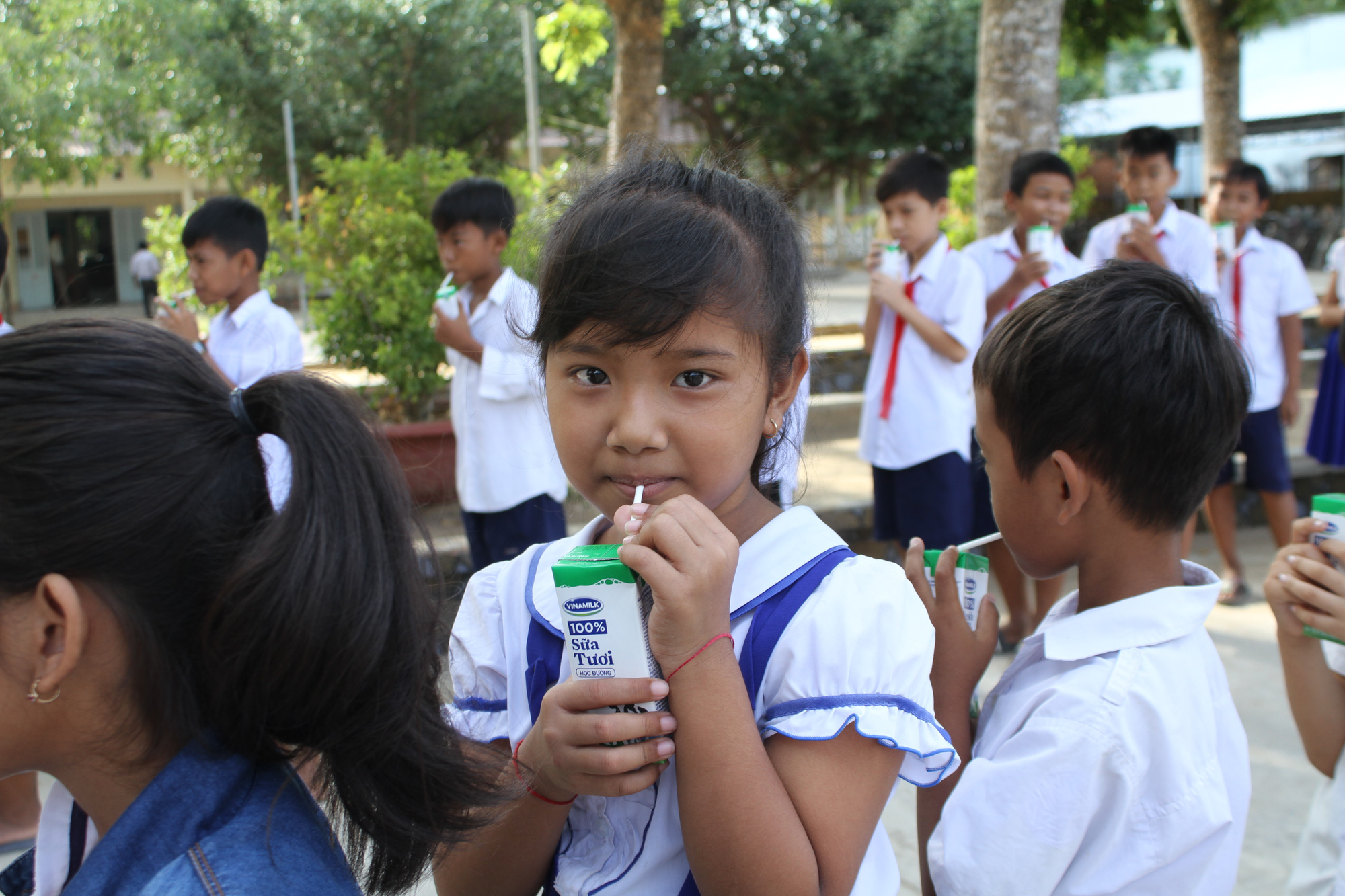 55.000 học sinh Trà Vinh được hỗ trợ sữa học đường   - Ảnh 1.