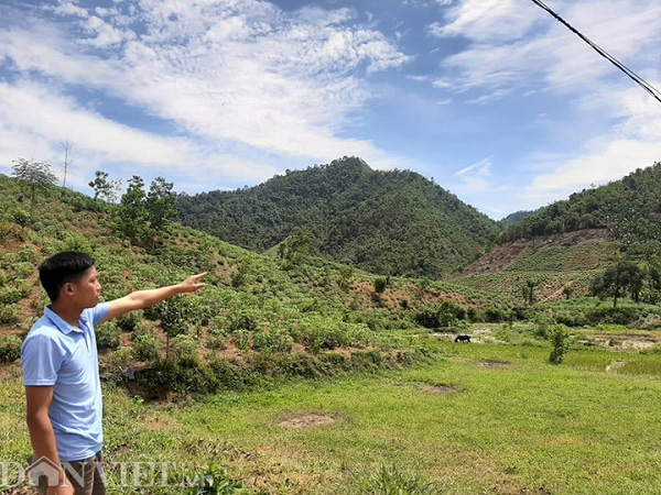 Phú Thọ: “Tàn sát” rừng phòng hộ và hơn 1 nghìn hecta rừng bị “biến mất”  - Ảnh 1.