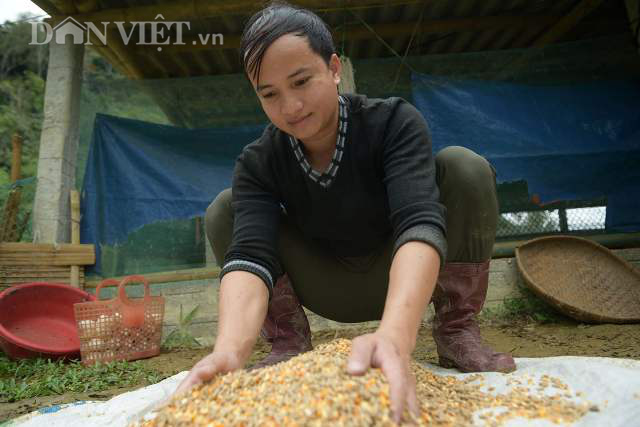 Chàng trai kiếm bộn tiền nhờ &quot;ăn ngủ&quot; cùng vịt dưới suối - Ảnh 4.