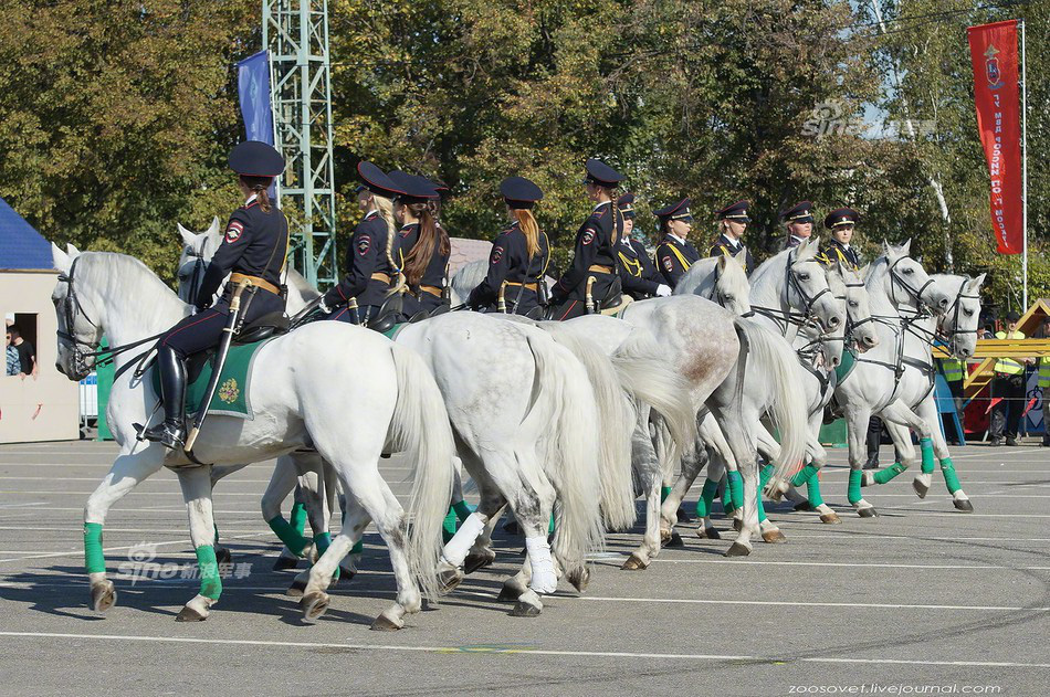Trang phục đẹp không thể rời mắt của đội nữ kỵ binh Bạch Mã Nga - Ảnh 8.