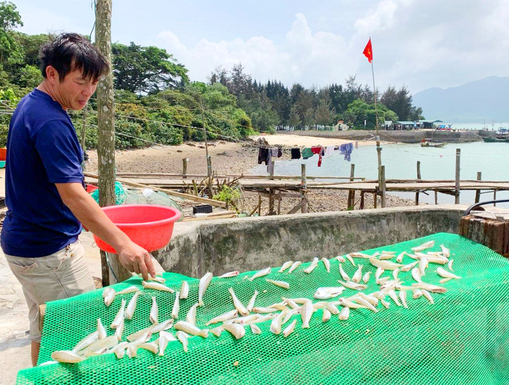 Kỳ thú theo chân các cần thủ câu cá đục cực ngon ở biển Minh Châu - Ảnh 10.