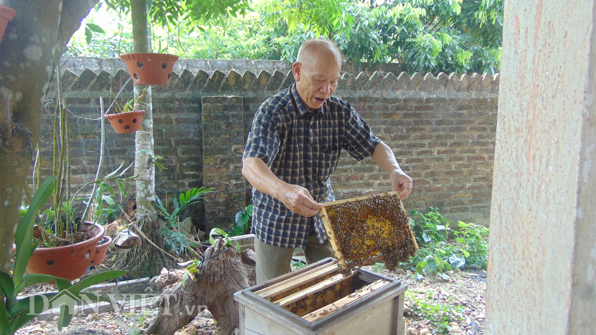Cụ ông 82 tuổi tạo nên thương hiệu mật ong Phúc Thuận - Ảnh 4.