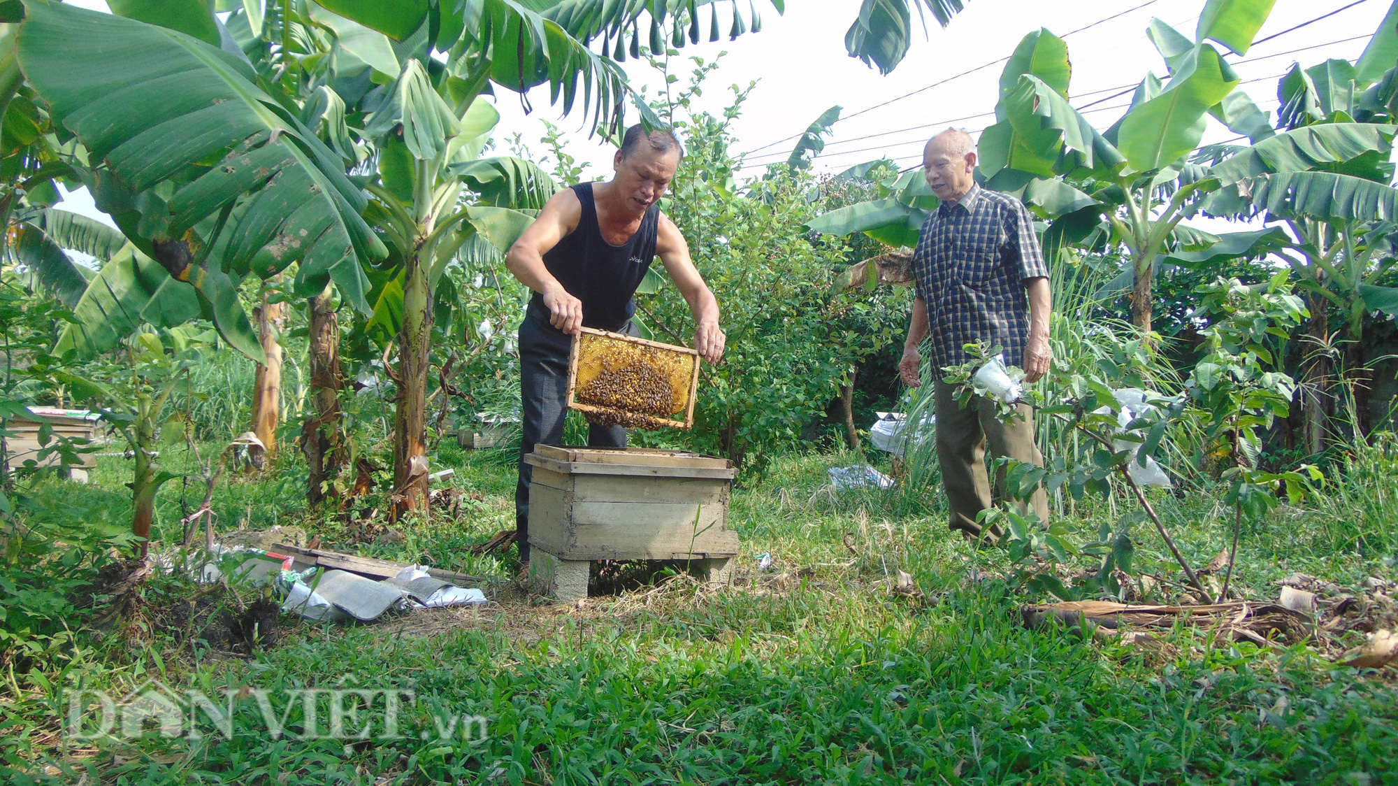 Cụ ông 82 tuổi tạo nên thương hiệu mật ong Phúc Thuận - Ảnh 2.