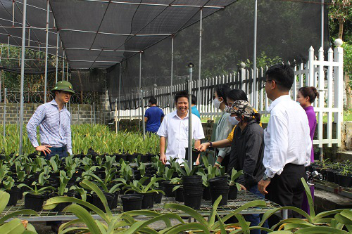 Lương Sơn thay đổi diện mạo, xóm làng trù phú nhờ nông thôn mới  - Ảnh 3.