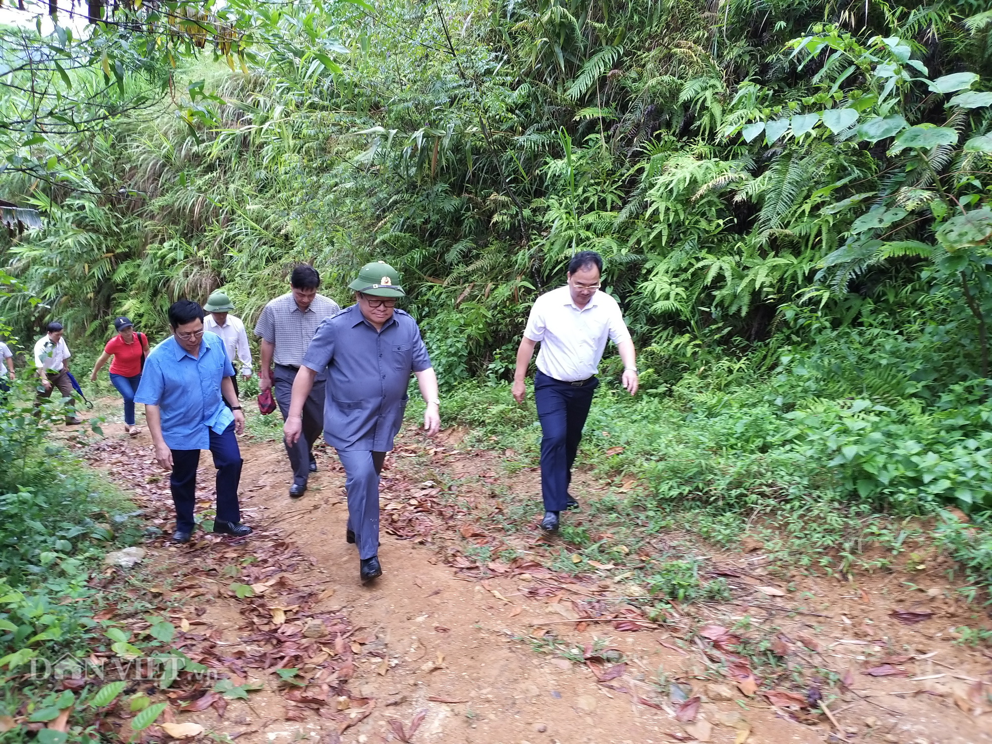 Chủ tịch Hội Nông dân Việt Nam &quot;đội mưa&quot; vượt núi thăm &quot;rừng vàng&quot; ở Yên Bái - Ảnh 2.