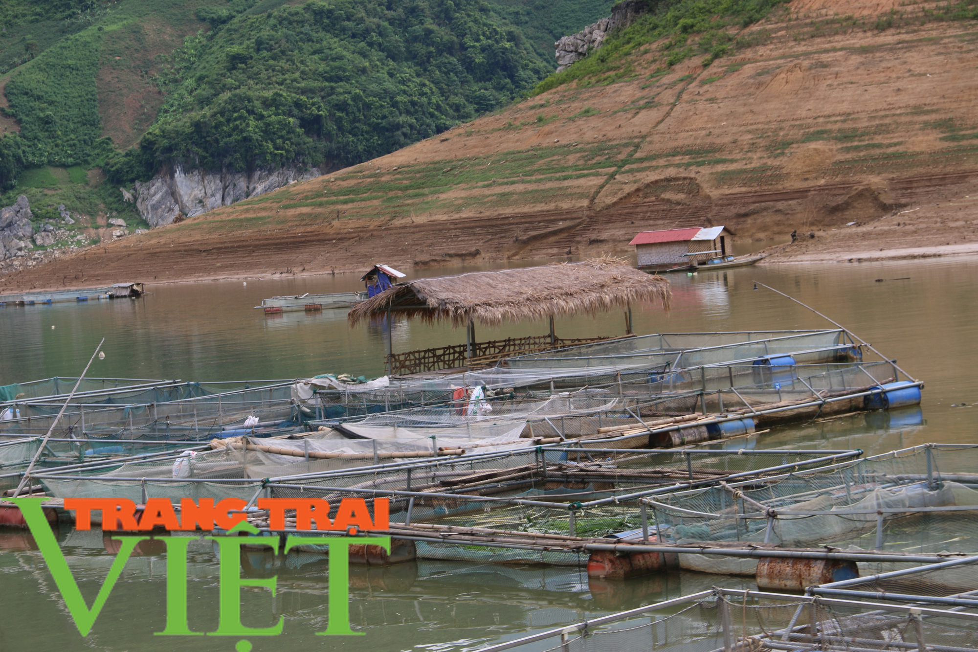Nuôi cá tầm trên sông Đà, vừa bán được cá vừa hút khách du lịch - Ảnh 9.