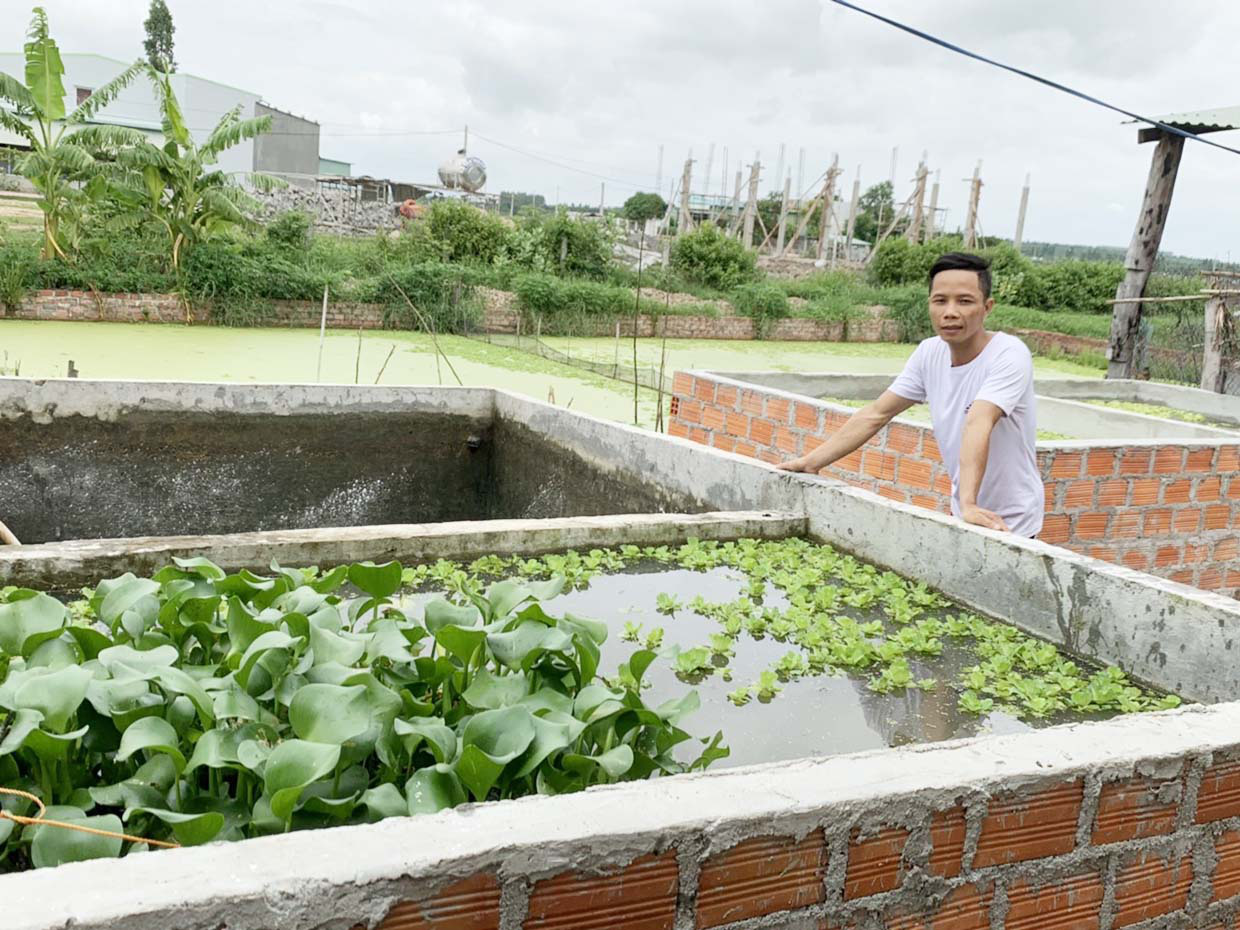 Gia Lai: 9X bỏ ngang đại học về quê nuôi con &quot;ăn bẩn ở sạch&quot; giờ ra sao? - Ảnh 2.