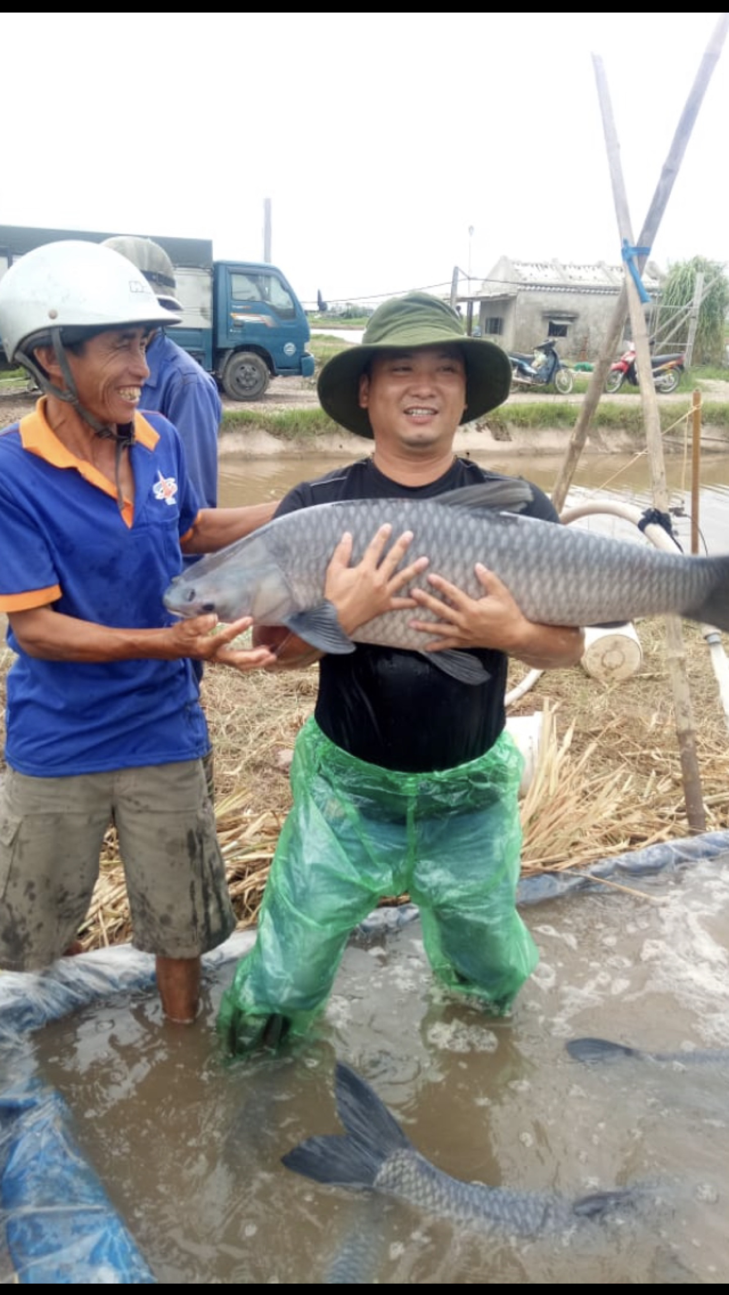 Nam Định: Nuôi cá trắm khủng bằng thảo dược, lão nông bỏ túi tiền tỷ  - Ảnh 2.