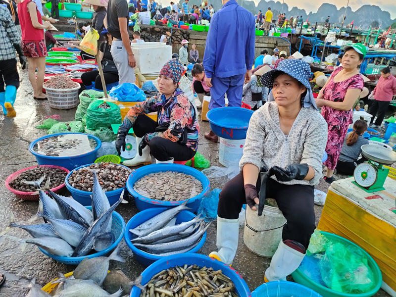 Đi săn hải sản tươi rói ở cảng cá Hạ Long lúc tinh mơ - Ảnh 9.