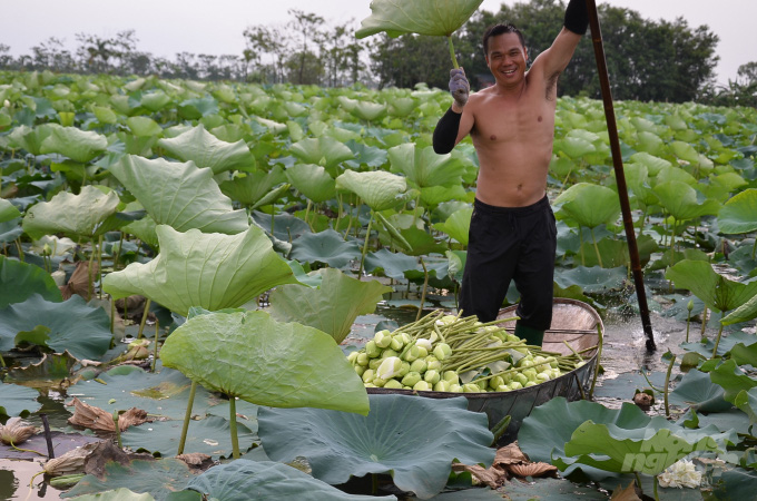 Người mang cả Tháp Mười ra &quot;đặt&quot; giữa lòng Hà Nội - Ảnh 1.