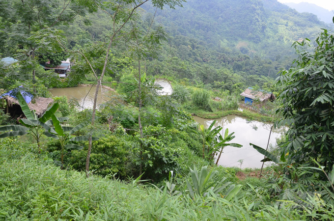 Loài cá tiến Vua có đôi môi cong đầy đặn, xẻ táo bạo khiến chị em &quot;phát hờn&quot;, anh em &quot;phát cuồng&quot; - Ảnh 2.