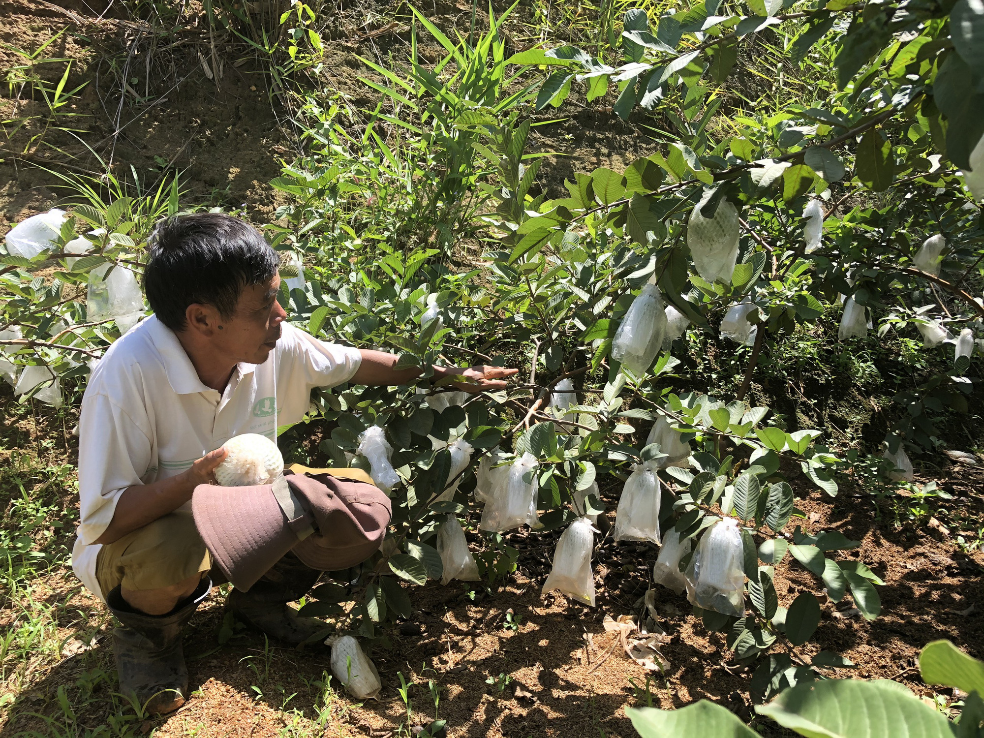 Lão nông xây dựng trang trại tiền tỷ dưới chân núi toàn đá - Ảnh 3.