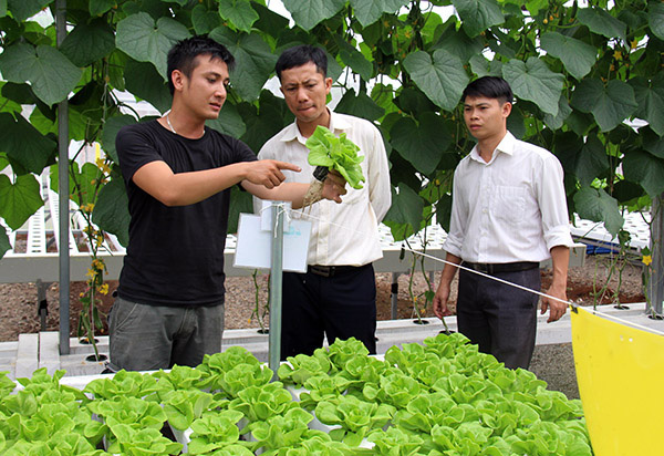 Chấn chỉnh việc chạy theo thành tích, huy động quá sức dân trong xây dựng nông thôn mới - Ảnh 1.