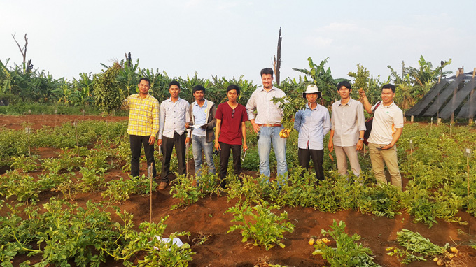Campuchia chi 3,5 triệu USD phát triển giống khoai tây - Ảnh 1.