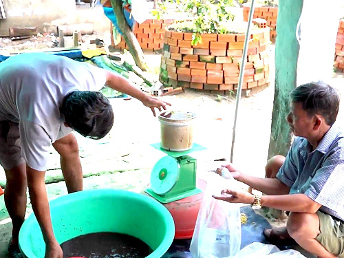 An Giang: Xuống sông săn bắt hàng chục ký trùn chỉ, kiếm tiền triệu mỗi ngày - Ảnh 3.