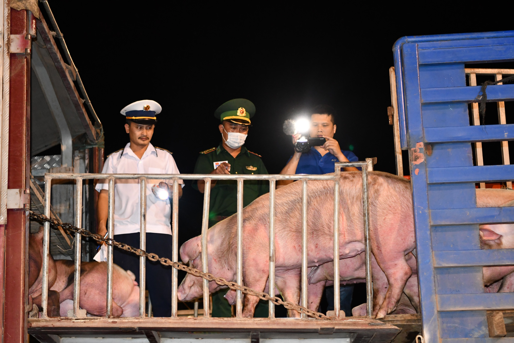 Giá heo hơi Thái Lan tăng đột biến do nhu cầu cao, nhập heo sống không đơn giản - Ảnh 1.